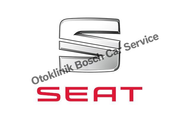 Bursa Seat Servisi